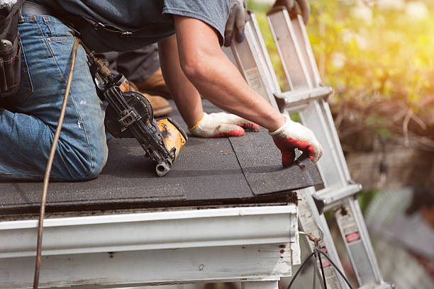 Best Roof Maintenance Services  in Fairmont, MN