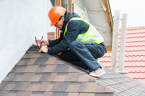 Best Roof Gutter Cleaning  in Fairmont, MN